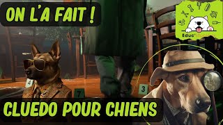 🕵️‍♂️🐶 Cluedo Canin : Nos Chiens Résolvent un Mystère au Centre Canin ! 🔍🎬