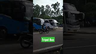 Tiga Bus keluar terminal #shorts #busmania #busindonesia #bismania