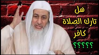 هل حقا تارك الصلاة كافر شاهد رد الشيخ مصطفى العدوي