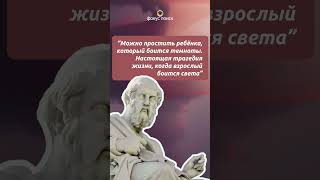 "Трагедия взрослого человека" - Платон #философия #цитаты #мудрость