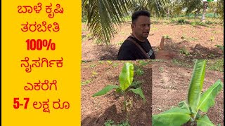 ಬಾಳೆ ಕೃಷಿ ತರಬೇತಿ 100% ನೈಸರ್ಗಿಕ Yogésh 8660097267