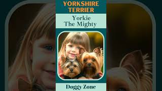 Yorkshire Terrier: The Mighty | Dog Breeds | Dog Lovers