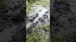 😨 Aguas residuales #ingenieria #shorts #viral #video #aguaresidual #PTAR