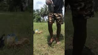 இந்தா பாருங்க - Fish hunting