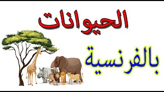 انواع  الحيوانات باللغة الفرنسية