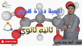 أهمية دورة كربس