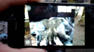 @artis #zoo #augmentedreality scan test part2