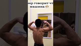 Живые Машины