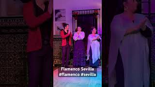 Flamenco Sevilla #flamenco #sevilla #spain #travel #misic #pop #punk #musicband