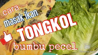 cara masak ikan tongkol bumbu pecel