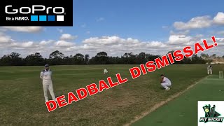 TEAMMATE GETS OUT TO A DEAD BALL! | GoPro Cricket Highlights!