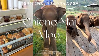 【 Chiengmai vlog 】日帰りチェンマイ観光がヤバすぎた🤣 | 人生初 象に乗る🐘 | ミシュラングルメ🎖️ | タイ旅行