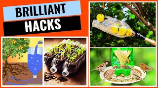 Clever Hacks for Reusing Plastic Bottles in the Garden (This is Unbelievable!)