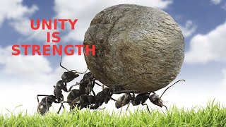 Unity is strength | Team work motivational Video | മോട്ടിവേഷൻ വീഡിയോ