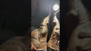 POV: leg extensions till failure