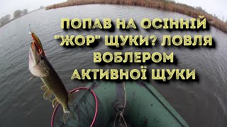 Ловля активної щуки осінню