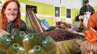 😨Colas de INFARTO = 429k de Aceitunas; hacemos NUESTRO ACEITE en Marruecos