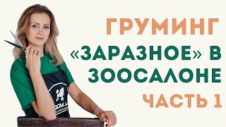 Что может быть «заразного» в зоосалоне. Дезинфекция. Часть 1