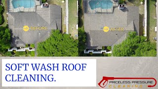 Soft Wash Shingle Roof Cleaning Tampa Florida