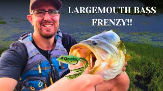 Largemouth Bass Fishing: PB caught!!