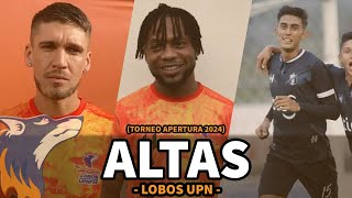 Altas y Bajas | Lobos UPN (Apertura 2024)