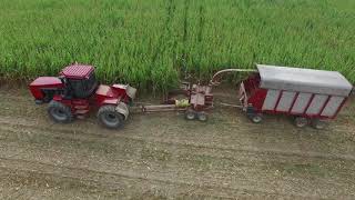 Corn Harvest Fall 2019