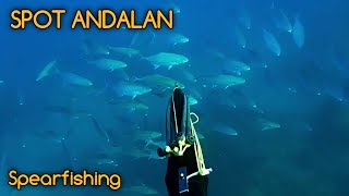 INI SPOT ANDALAN YANG DI CARI PARA MASTER SPEARFISHING SEDUNIA | Eps. 04