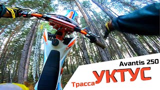 Эндуро тропа Короба УКТУС, Творожок в АТАКЕ!!! Обзор Avantis Enduro 250