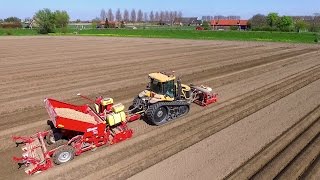 Potato Planting  | Challenger MT 765D + Grimme GB430 beltplanter | Veerman Goudswaard