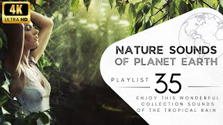 2 hours of pleasant natural sounds - tropical rain.