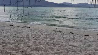 Sitting under the palapa