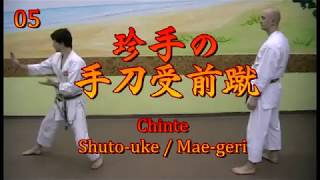 Chinte bunkai 02