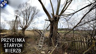 Siedlisko - reanimacja odc.36 "Ogławianie wierzby"