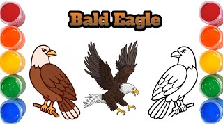 How to Draw Bald Eagle | Easy Drawing Step by Step | Painting and Coloring for Kids