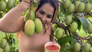 Eat fresh mango so spicy | Meyly Cooking