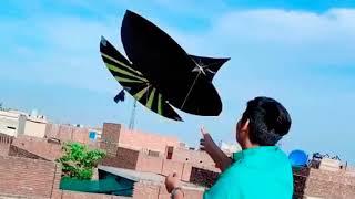 pindi boy flying patang in morning game