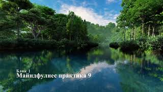 Майндфулнес практика 9. Блок 1.