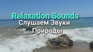 Relaxation sounds/Слушаем звуки природы.Отдых и расслабление#naturebeauty #naturesounds #relax