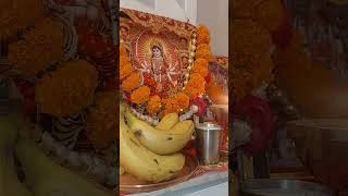 नवरात्रों का प्रथम दिन- माँ शैलपुत्री की उपासना- जय माता दी 🙏🙏🙏 #navratri #viral #video #trwnding