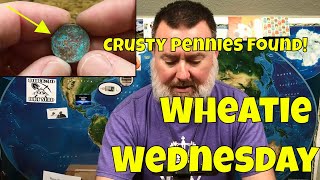 Wheatie Wednesday Hunting a $25 Box of Pennies for Wheats