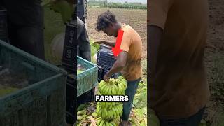 These farmers have insane abilities #shorts