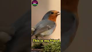 #shorts Most Beautiful Bird all world | Short 2022 | heritaje video | Indian youtuber