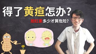 得了黄疸该怎么办？|【黄疸】花生健康医药 EP98