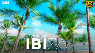 Summer Music Mix 2024 | Deep Chill HuB | House Party Mix | Series 273