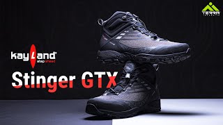 NEW | Черевики Kayland Stinger GTX