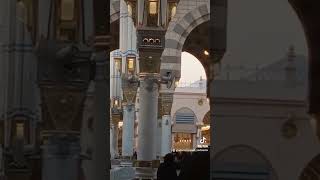 yuk ke teras raudhoh setiap hari tanpa tasreh&nusuk#masjid nabawi