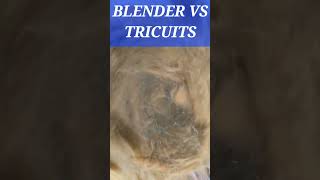 Blender VS Triscuit