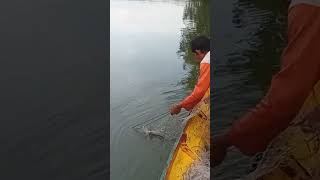 ikan tersangkut di jaring