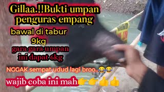 Heboh..Saya Buktiin Umpan penguras Empang,,umpan bawal harian paling jitu