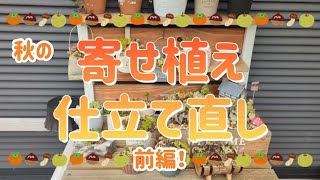 秋の寄せ植え仕立て直し！前編